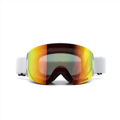 Lunettes de ski tous temps